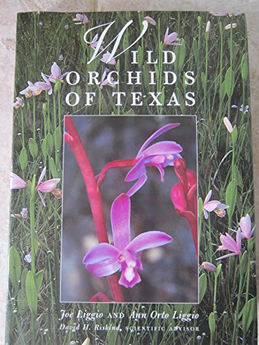 Wild Orchids of Texas (Corrie Herring Hooks Series)