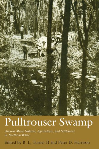 Beispielbild fr Pulltrouser Swamp; Ancient Maya Habitat, Agriculture, and Settlement in Northern Belize zum Verkauf von Argosy Book Store, ABAA, ILAB