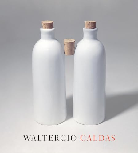 Stock image for Waltercio Caldas for sale by Ria Christie Collections