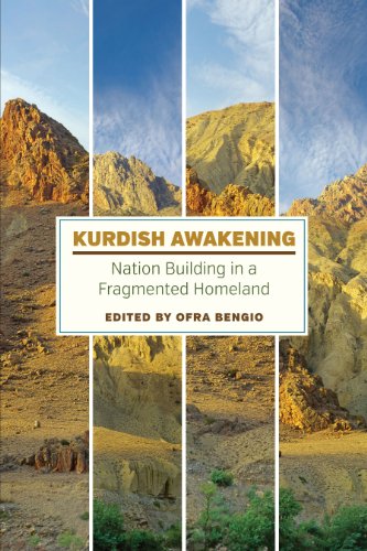 Beispielbild fr KURDISH AWAKENING: NATION BUILDING IN A FRAGMENTED HOMELAND. zum Verkauf von Any Amount of Books