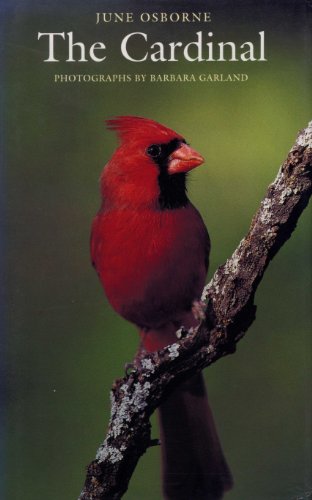 Stock image for The Cardinal for sale by Abacus Bookshop