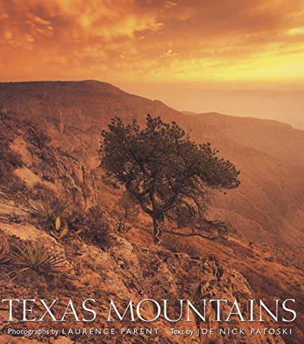 Beispielbild fr Texas Mountains zum Verkauf von Better World Books