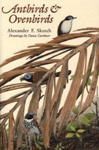 Antbirds and Ovenbirds: Their Lives and Homes (Corrie Herring Hooks Series) (9780292776999) by Skutch, Alexander F.