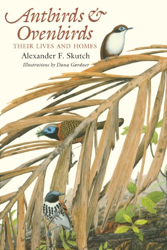 Imagen de archivo de Antbirds and Ovenbirds : Their Lives and Homes a la venta por Better World Books