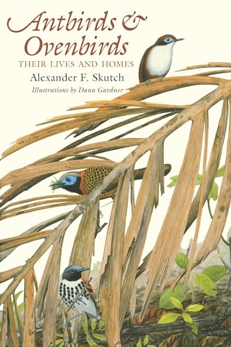 Stock image for Antbirds and Ovenbirds : Their Lives and Homes for sale by Better World Books