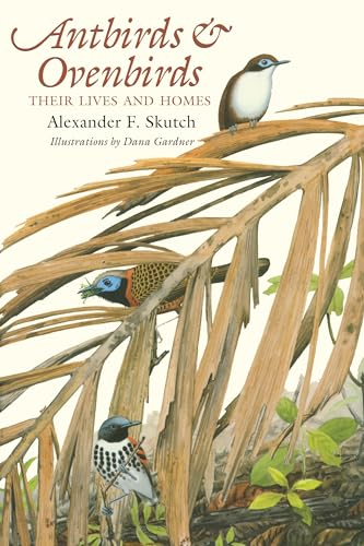 Stock image for Antbirds and Ovenbirds: Their Lives and Homes (Corrie Herring Hooks Series) for sale by HPB-Ruby