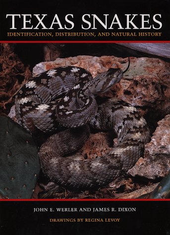 Stock image for Texas Snakes: Identification, Distribution, and Natural History for sale by HPB-Red