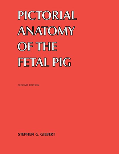 Imagen de archivo de Pictorial Anatomy of the Fetal Pig a la venta por ThriftBooks-Atlanta