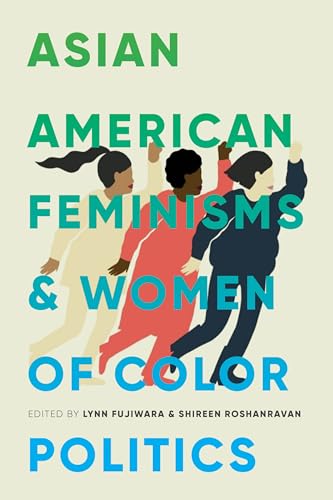 Beispielbild fr Asian American Feminisms and Women of Color Politics (Decolonizing Feminisms) zum Verkauf von Midtown Scholar Bookstore