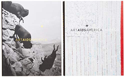 Imagen de archivo de Art AIDS America / Art AIDS America Chicago Boxed Set a la venta por Midtown Scholar Bookstore