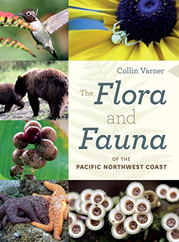 Beispielbild fr The Flora and Fauna of the Pacific Northwest Coast zum Verkauf von ThriftBooks-Atlanta