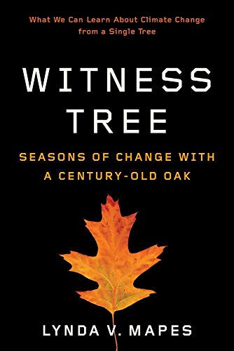 Imagen de archivo de Witness Tree Seasons of Change with a CenturyOld Oak a la venta por PBShop.store US