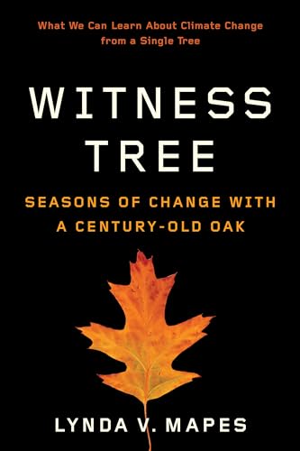 Stock image for Witness Tree Seasons of Change with a CenturyOld Oak for sale by PBShop.store US