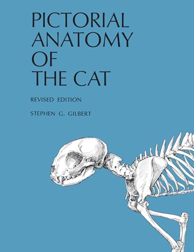 Beispielbild fr Pictorial Anatomy of the Cat zum Verkauf von BooksRun