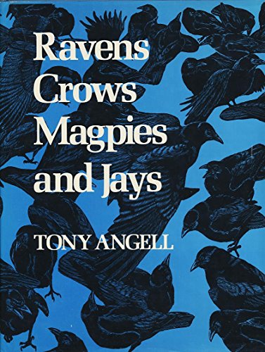 Imagen de archivo de Ravens, Crows, Magpies and Jays a la venta por Blindpig Books