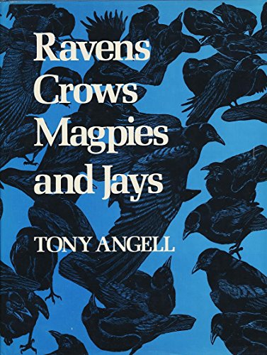 9780295955896: Ravens, Crows, Magpies and Jays