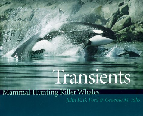 9780295978178: Transients: Mammal-Hunting Killer Whales of British Columbia, Washington, and Southeastern Alaska