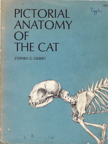 Stock image for Pictoral Anatomy of the Cat for sale by Hawking Books