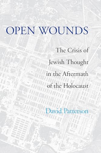 9780295986456: Open Wounds: The Crisis of Jewish Thought in the Aftermath of the Holocaust (Pastora Goldner Series)