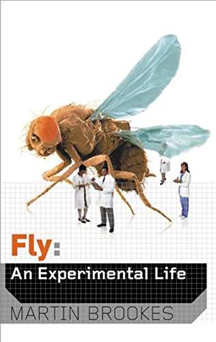 Beispielbild fr Fly: An Experimental Life zum Verkauf von Redux Books