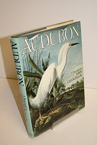 Imagen de archivo de Audubon a la venta por AwesomeBooks