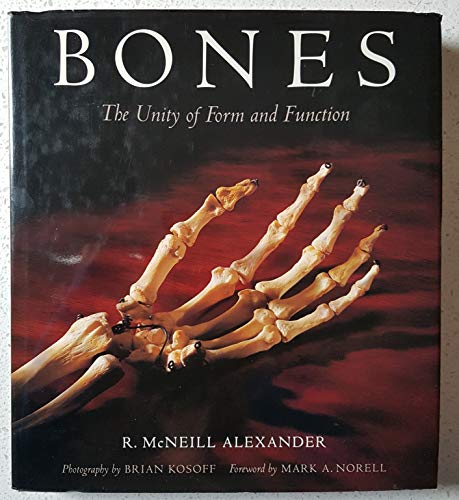 Stock image for Bones: The Unity of Form and Function for sale by Wonder Book