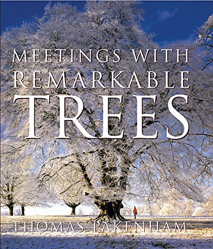Beispielbild fr Meetings With Remarkable Trees zum Verkauf von Zoom Books Company