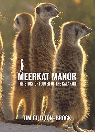 Meerkat Manor: Flower Of The Kalahari - Clutton-Brock, Tim