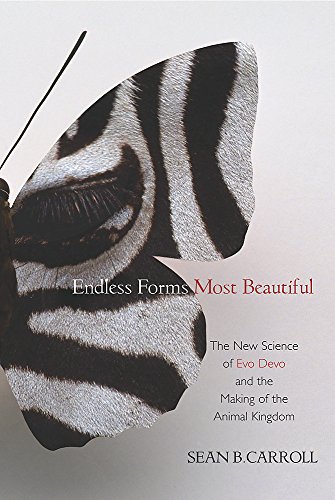 Stock image for Endless Forms Most Beautiful: The New Science of Evo Devo and the Making of the Animal Kingdom for sale by WorldofBooks