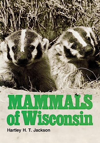 Stock image for Mammals of Wisconsin for sale by HPB-Diamond