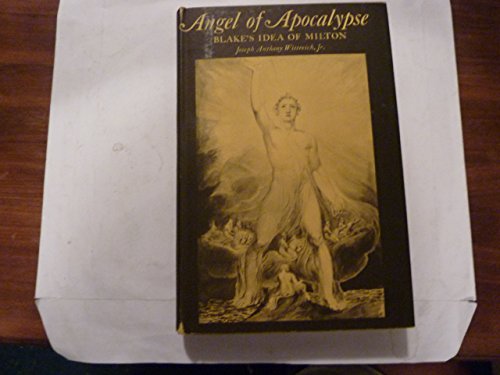 9780299068004: Angel of Apocalypse: Blake's Idea of Milton