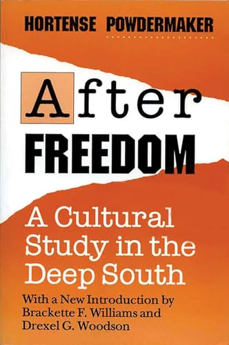 9780299137847: After Freedom: Cultural Study in the Deep South (New Directions in Anthropological Writing)