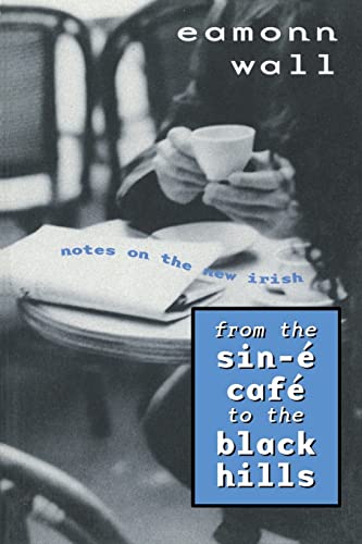 9780299167240: From the Sin-E Cafe to the Black Hills: Notes on the New Irish