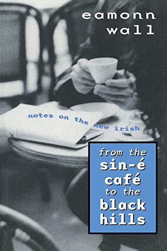 Stock image for From the Sin-e Cafe to the Black Hills Notes on The New Irish for sale by Chequamegon Books