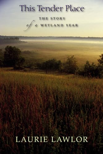 This Tender Place: The Story of a Wetland Year (9780299214609) by Lawlor, Laurie