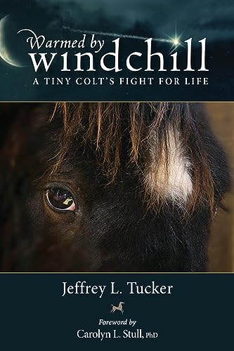 Stock image for WARMED BY WINDCHILL: A Tiny Colt's Fight for Life for sale by Viking Book