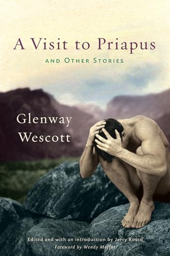 Stock image for A Visit to Priapus and Other Stories Format: Hardcover for sale by INDOO