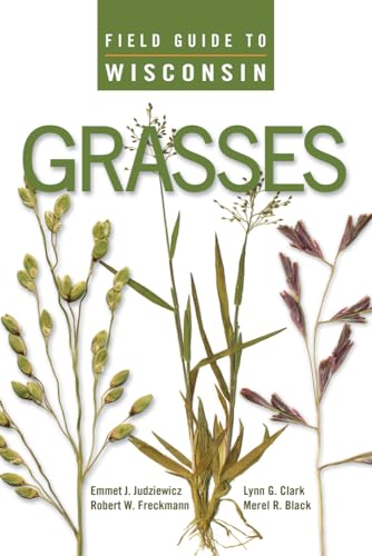 Stock image for Field Guide to Wisconsin Grasses for sale by Ergodebooks