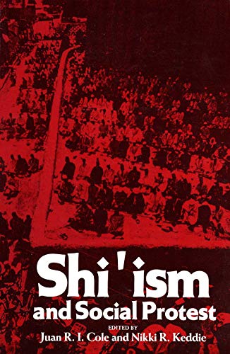 Stock image for Shi'ism and Social Protest for sale by Anybook.com