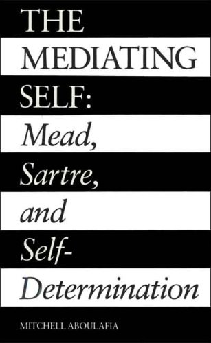 9780300054767: The Mediating Self: Mead, Sartre, and Self-Determination