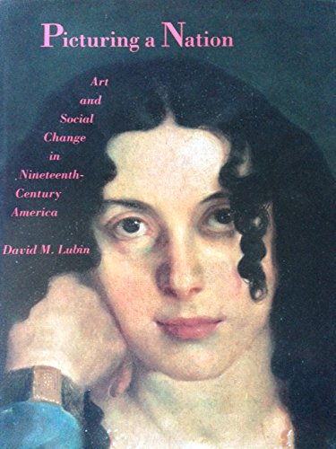 Stock image for Picturing a Nation : Art and Social Change in Nineteenth-Century America for sale by Better World Books