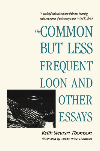 Stock image for The Common but Less Frequent Loon and Other Essays for sale by N. Fagin Books