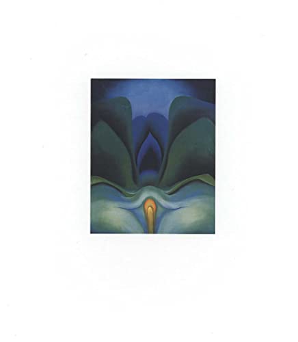 Georgia O'Keeffe : Catalogue Raisonne - Lynes, Barbara Buhler