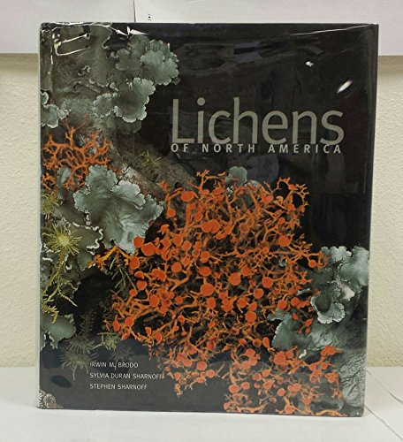 9780300082494: Lichens of North America