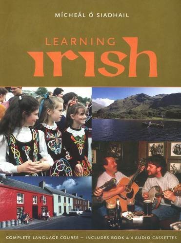 9780300084160: Learning Irish