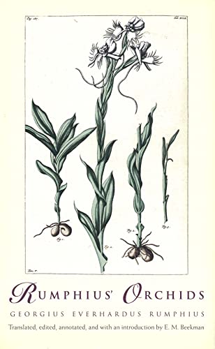 Stock image for Rumphius' Orchids: Orchid Texts from "The Ambonese Herbal" for sale by HPB-Red