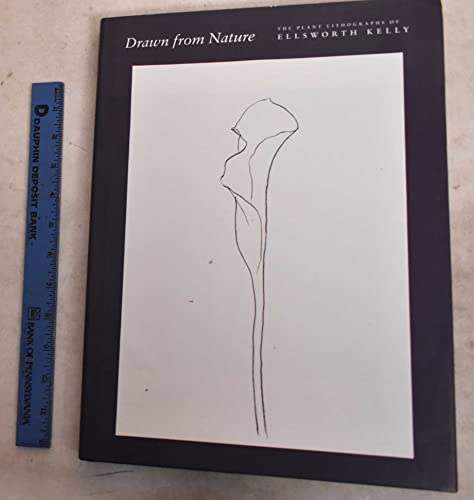 Imagen de archivo de Drawn From Nature: The Plant Lithographs Of Ellsworth Kelly a la venta por Recycle Bookstore