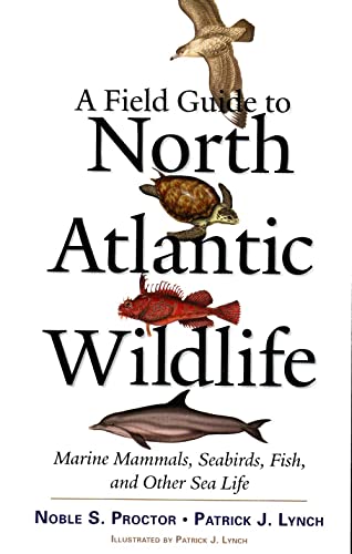 Stock image for A Field Guide to North Atlantic Wildlife: Marine Mammals, Seabirds, Fish, and Other Sea Life for sale by Books for Life