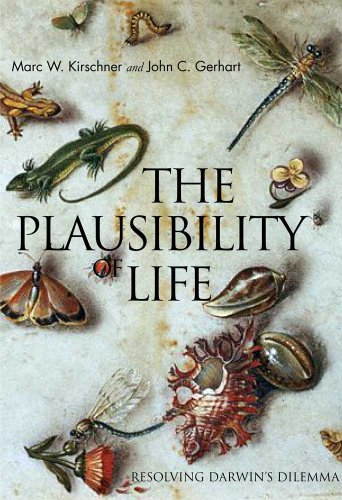 Stock image for The Plausibility of Life : Resolving Darwin's Dilemma for sale by Better World Books: West