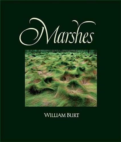 Beispielbild fr Marshes: The Disappearing Edens zum Verkauf von Half Price Books Inc.